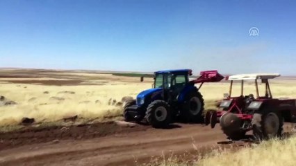 Siverek'te arazi yangını - ŞANLIURFA