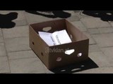 Protesta para qendrave te votimit  ne Tirane e Korce
