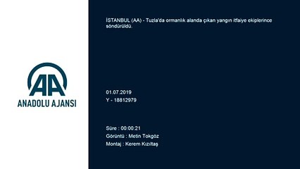 Tuzla'da orman yangını - İSTANBUL