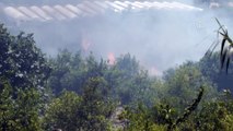 Silifke'de orman yangını (2) - MERSİN
