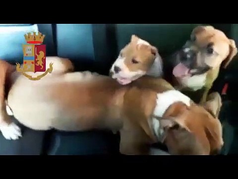 Milano - Controlli della Polizia di Stato in Via Gola (01.07.19)