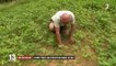 Sécheresse : des agriculteurs face aux restrictions d'eau