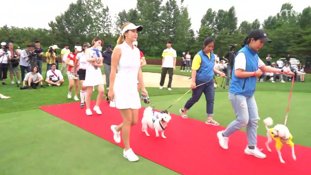 반려견과 함께하는 이색 골프 페스티벌 열려 / YTN