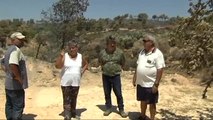 El incendio de Tarragona arrasa 5050 hectáreas de terreno