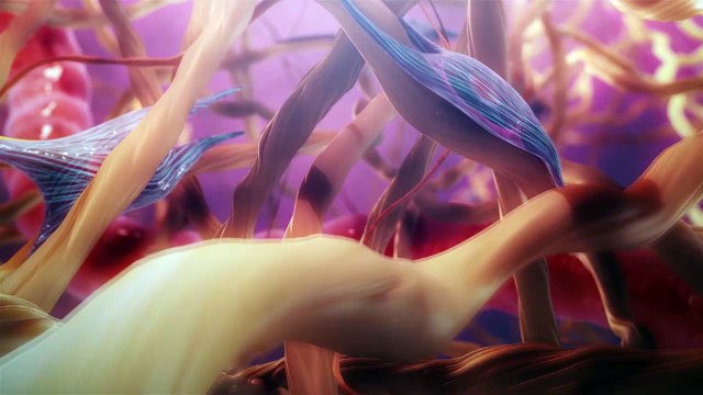 Medical Animation | Medical Explainer Video Productions - Equisolve