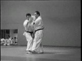Nihon-Tai-Jitsu