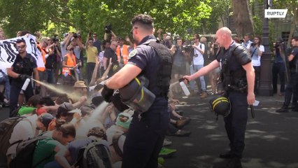 Police pepper-spray eco protesters blocking Paris bridge