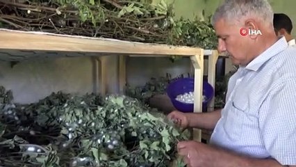 Evinin Boş Odası 42 Günde 3,500 TL Kazandırdı