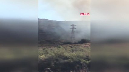 MUĞLA Bodrum'da otluk alanda yangın