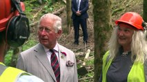 Prince Charles oversees horse logging in Wales