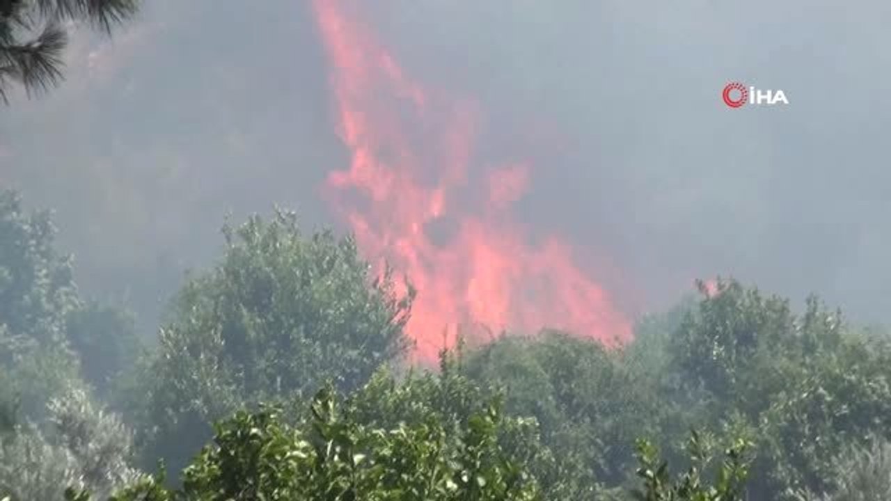Silifke'de orman yangını yüzünden bazı evler boşaltıldı, yollar trafiğe kapatıldı
