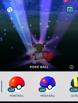 RATTATA ALOLA IV 100 MAX CP 682 LIV 35 EVOLUTION RATICATE CP 1583