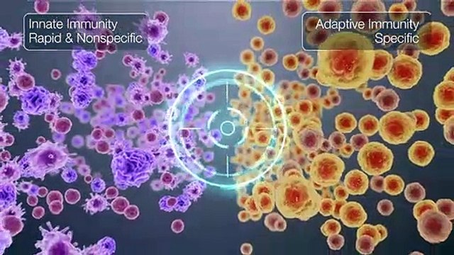 Biotech Video Pharmaceutical Technologies Video | Medical Animations Video Equisolve