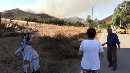 Bodrum'da makilik alanda yangın - MUĞLA