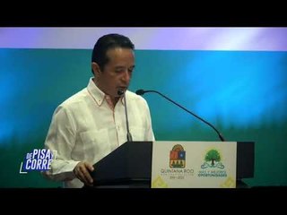 ¿El sargazo en México empieza a preocupar? | De Pisa y Corre