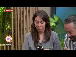 ¿Cómo funcionan las prótesis para perros? | Sale el Sol