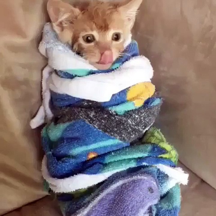 Birdie est trop excité. Trop chou !