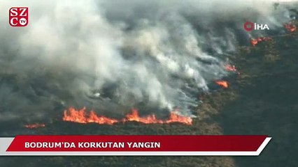 Bodrum'da korkutan yangın