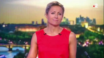 UE – Mercosur : est-ce un mauvais accord ?