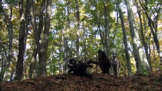 Robin Hood S03E11 The Enemy of My Enemy