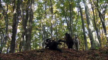 Robin Hood S03E11 The Enemy of My Enemy