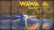 Wawa Salegy - Zandrikely - audio