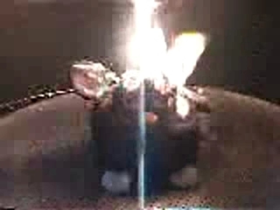 Furby in Microwave