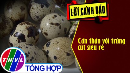 Cẩn thận với trứng cút siêu rẻ