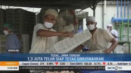 Harga Ayam Anjlok, Pinsar Minta Pemerintah Bertindak Tegas