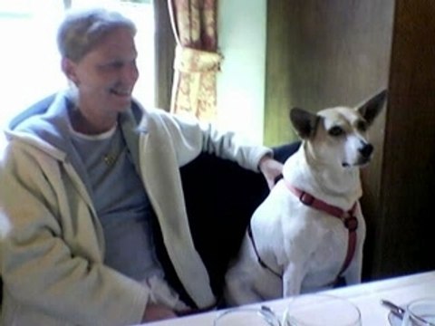 Hommage a mon petit ange qui c envolée je t'aime chipie