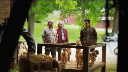 Enzo: Yağmurda Yarış Sanatı - Fragman