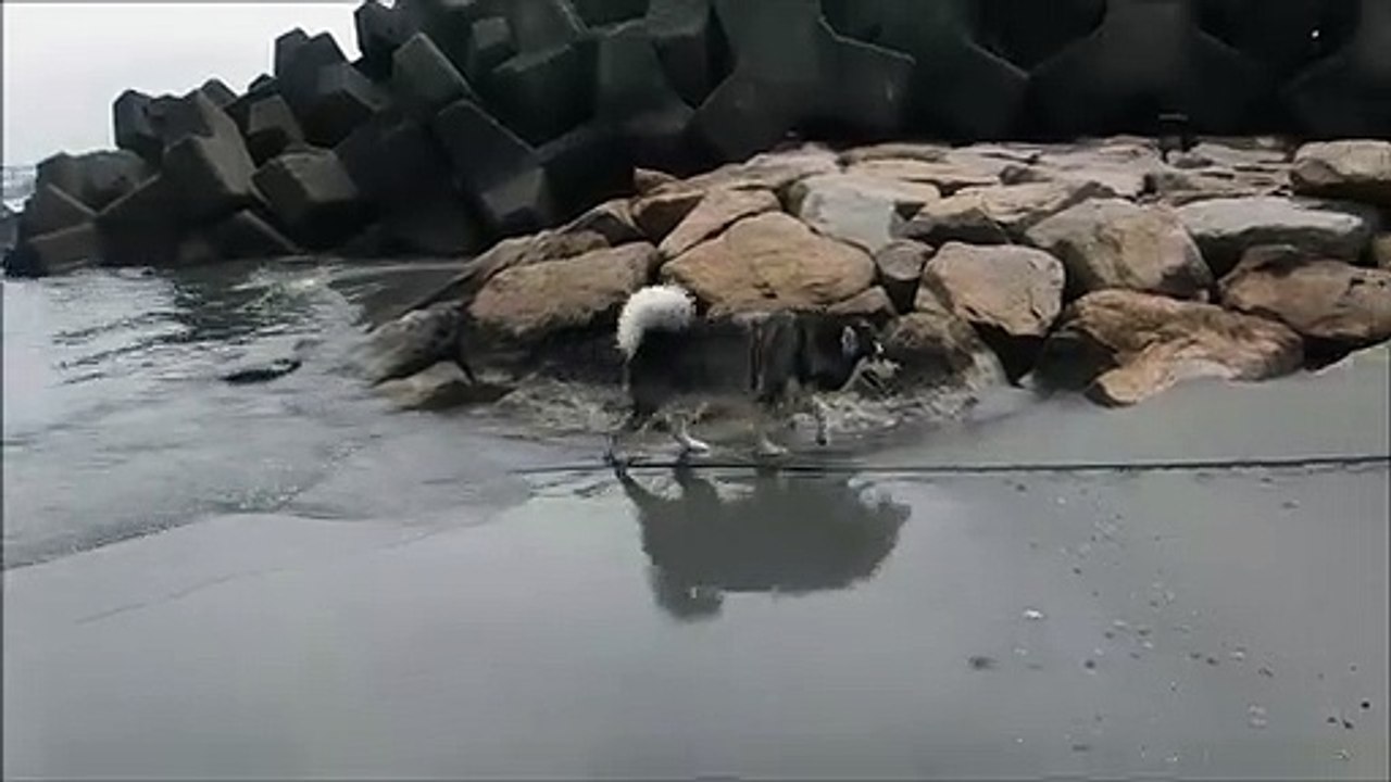 竜宮の磯