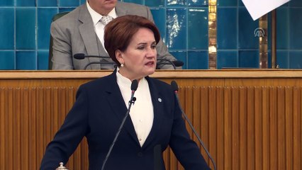 Akşener: 'Türkiye'mizin sormaya ve birlikte cevap aramaya ihtiyacı var ' - TBMM