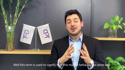 Forex Beginner Course (Episode 5.2) Bear Markets --from CPT Markets