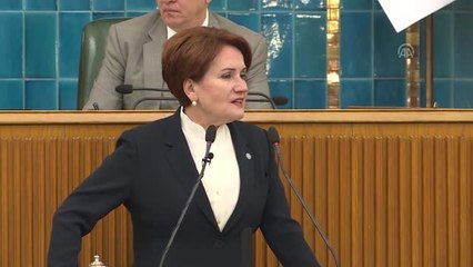 Akşener: "Milletin yararına yapılan her şeye teşekkür ederiz"