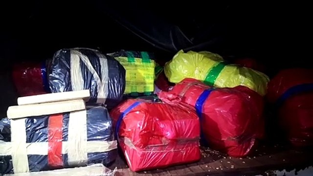 Maconha apreendida em Santa Tereza do Oeste totalizou mais de duas toneladas