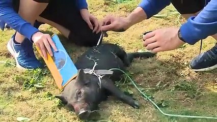 Lộ ảnh H'Hen Niê bầm dập tơi tả, chưa bao giờ Hoa hậu Hoàn vũ -xấu xí- thế này