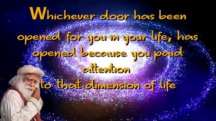 If you pay enough attention The universe opens its doors