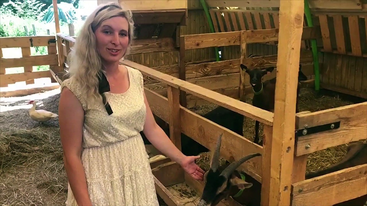 Wittring : les bons fromages de chèvre de la ferme du Kremerich