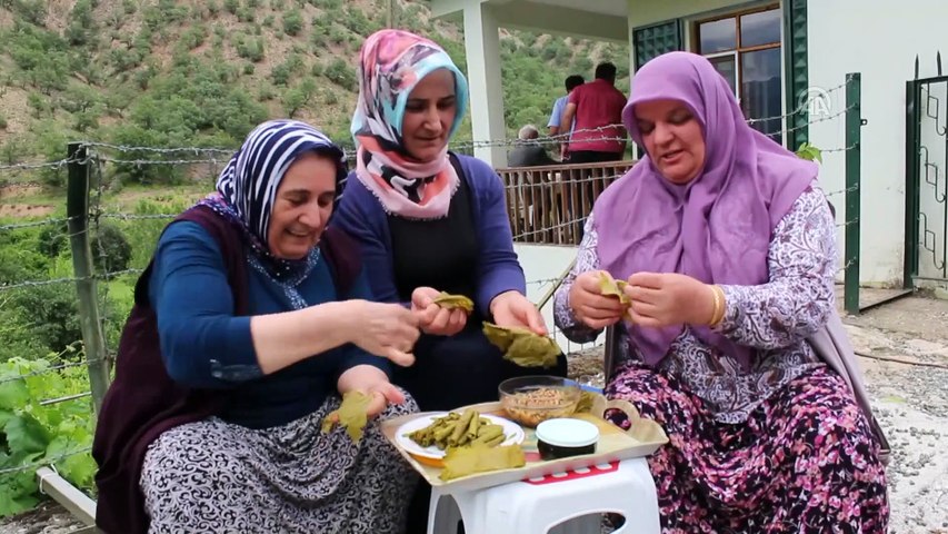 Tosya Yemek Siparisi Yemek Siparis Sitesi Restoran Ekle Yemek Siparisi Ver