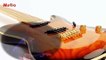 Tony Joe White - The Guitar Don't Lie  - original de la guitare fait mal de johnny hallyday