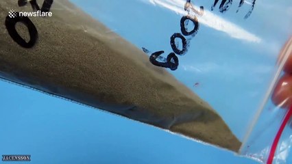 Experiment shows the strength of a magnet attracting iron