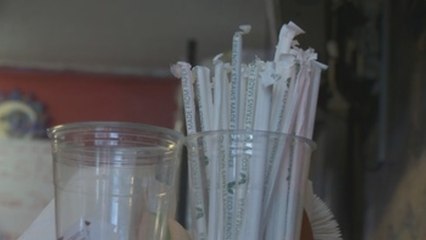 130 Años después de patentarlas, Washington prohíbe las pajitas de plástico