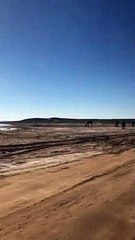 Maroc: camels and nature