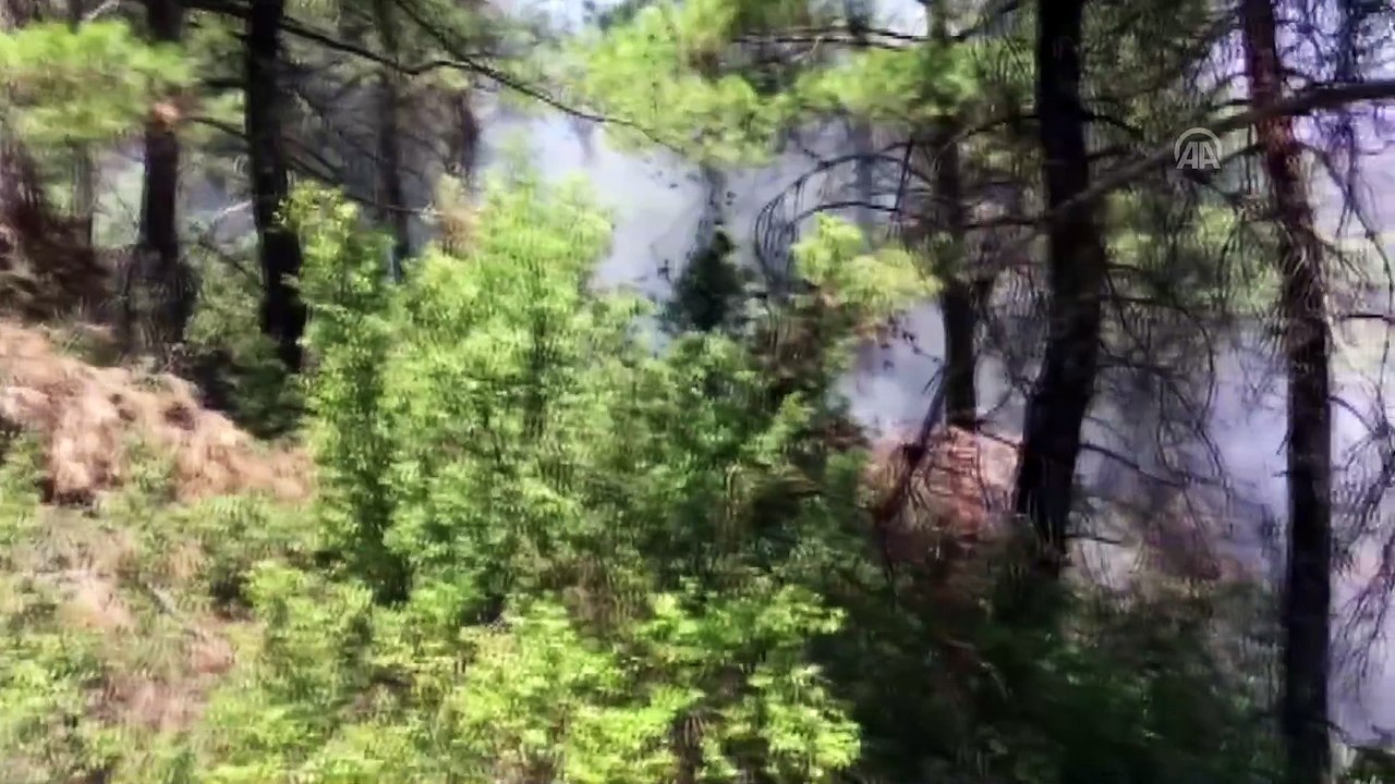 Denizli'de orman yangını