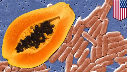 62 infected in U.S. salmonella outbreak linked to papayas