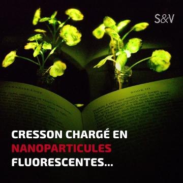 Les plantes cyborgs débarquent !