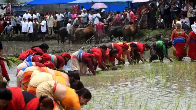 Lyon: un évêque lève un voile sur la sexualité des prêtres