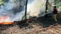 Denizli'de orman yangını; 1 hektar alan kül oldu