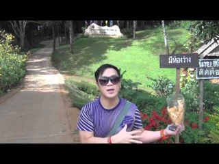 988《K欣去旅行》之泰国 5星级豪华团之旅 （Day4)